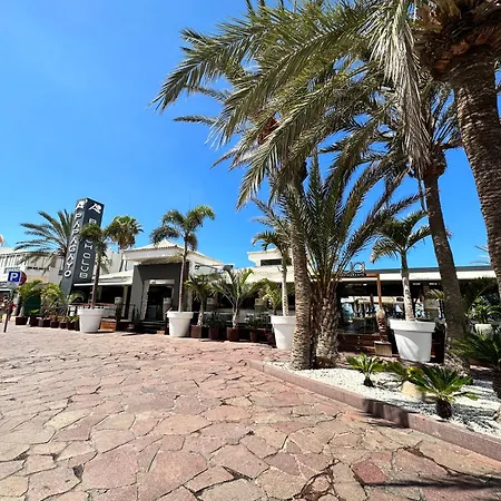 Apartamento Torres De Yomely - Y14a